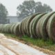 round bales of hay next to a wet road on a rainy day