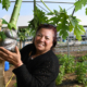 Person with papaya tree in hoop house.