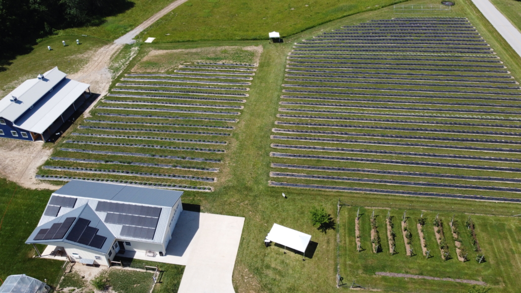 The roof mounted solar installation in front of rows of lavender plants. 