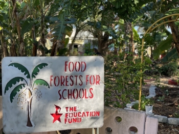 Food forest sign at The Education Fund