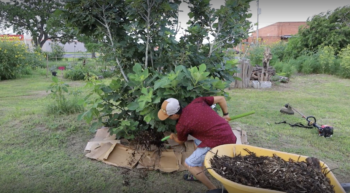 A worker mulching at Keeps of the Gardens urban forest