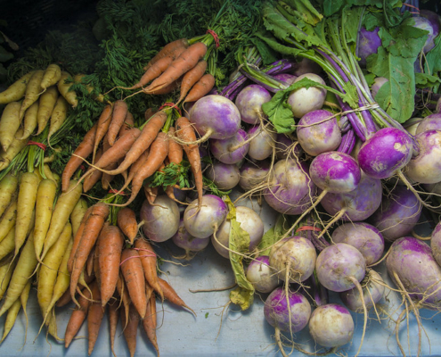 bunches of harvested carrots and turnips with foliage attached