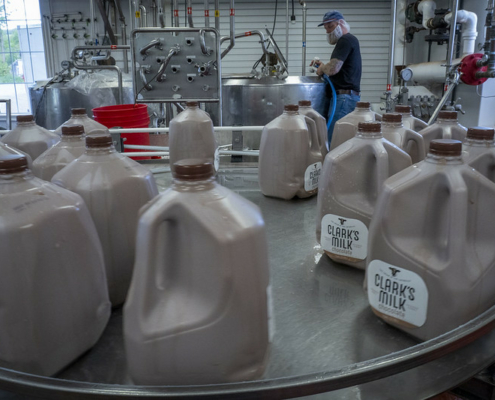 gallon jugs of chocolate milk in a bottling facility