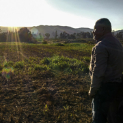 backlit farmer facing away toward landscape with mixed vegetation and mountains in background