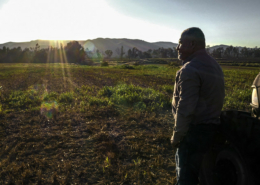 backlit farmer facing away toward landscape with mixed vegetation and mountains in background