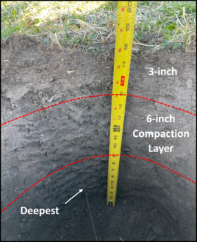 Un hoyo de 18 pulgadas de profundidad en un pastizal sobrepastoreado. El 90 por ciento o más de las raíces se concentran en las 3 pulgadas superiores con una zona de compactación de 6 pulgadas de espesor directamente debajo. Muy pocas raíces se encuentran en la zona de compactación o a profundidades más profundas. 
