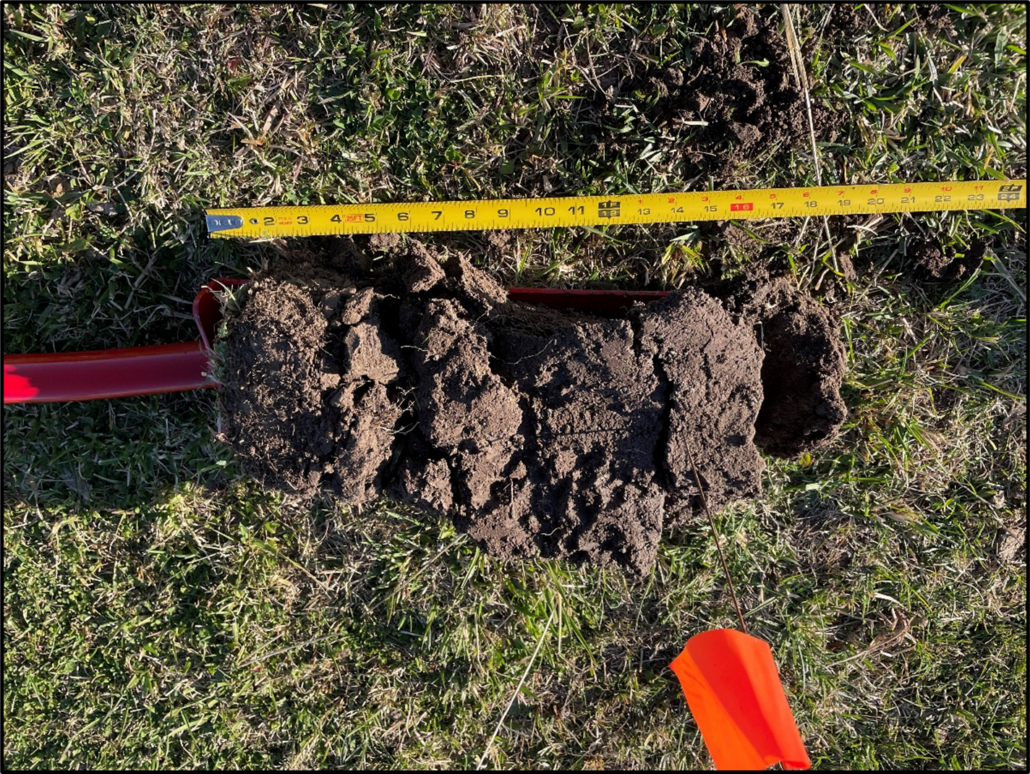 Una rebanada de tierra de 18 pulgadas de largo colocada horizontalmente en un pastizal para que sea más fácil observar la estructura del suelo y la profundidad de enraizamiento