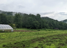 green farm pastureland with high tunnel at side of photo and tree-covered mountains in background, under cloudy sky