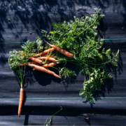 carrots with tops lie on a black background