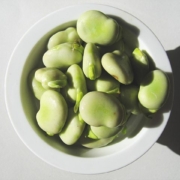 looking down on faba beans in a bowl