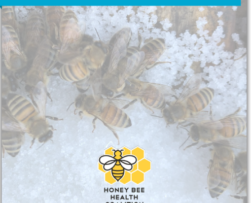 cover image of Honey Bee Nutrition Guide