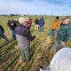 A group of people standing in a field around a presenter with crop plants under blue sky.