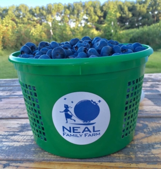 https://attra.ncat.org/wp-content/uploads/2024/01/blueberries-in-basket-332x350.jpg