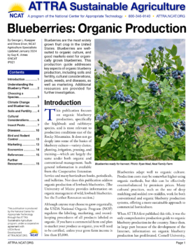 Blueberries: Organic Production cover page