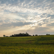 Colored clouds in sky above pastures and trees.