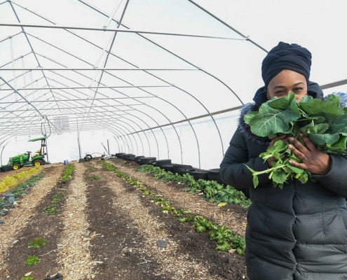 black farmer stands inside high tunnel with rows of plants, holding bunch of greens