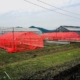 hoop house frames covered with red netting and white netting, under a cloudy sky