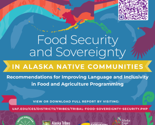 report cover with colorful graphics and words Food Security and Sovereignty