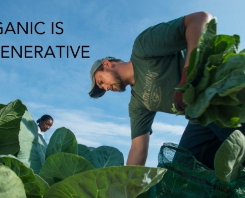 man leaning over green plants against blue sky background with words "Organic Is Regenerative"
