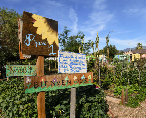 colorful painted signs in a raised-bed garden with houses and blue sky in the background