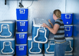 back view of a person facing stacks of blue ice chests inside a cooler
