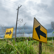Sky with storm clouds behind road signs with arrows, standing above tall grass.