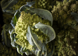 close up of Romanesco Cauliflower