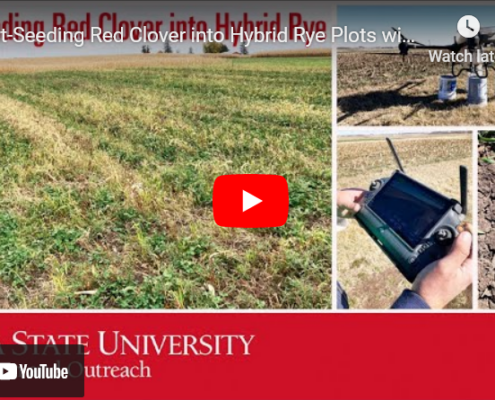 outtake from video of drone seeding clover into rye