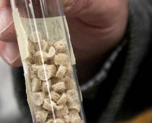 bioplastic pellets in a vial