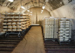 racks of round cheeses in a cheese cave