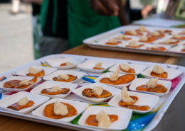 Food samples on plates, lined up on trays on a table.
