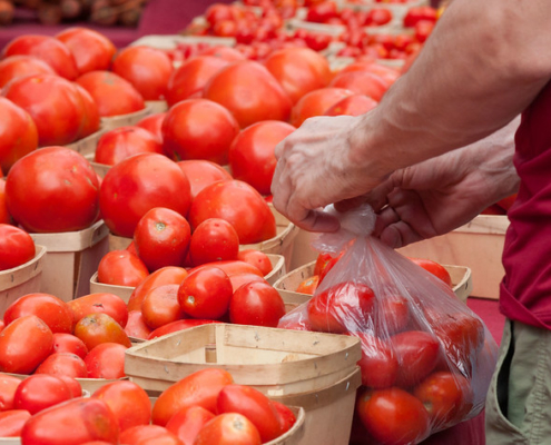 A person's hands bagging ripe tomatoes, with baskets of tomatoes surrounding them.