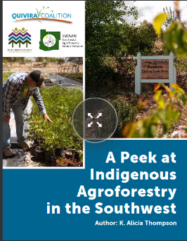 Cover image of A Peek at Indigenous Agroforestry in the Southwest