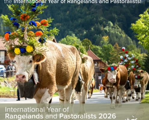 cows on parade with flowered headdresses, with wording "International Year of Rangelands and Pastoralists 2026"