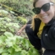 Danielle Crocker with her mature seep-grown wasabi plants