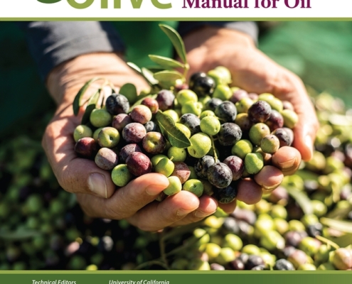 book cover with picture of cupped hands holding olives and title "Olive Production Manual for Oil"