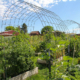 garden plants grow in raised beds under a hooped wire trellis.