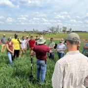 a group of people stand in a field under blue sky with clouds