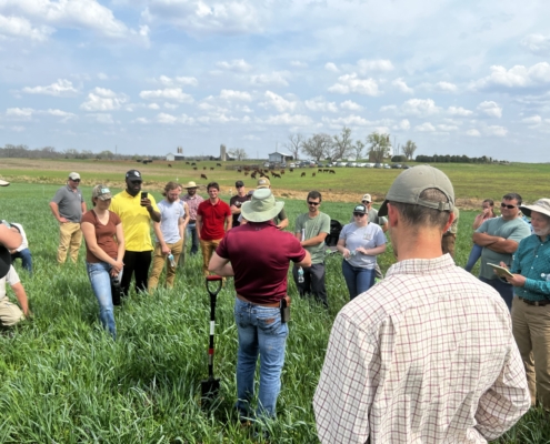 a group of people stand in a field under blue sky with clouds