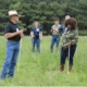 Photo of Dr. David Fernandez, UAPB, teaching at Grazing 101.