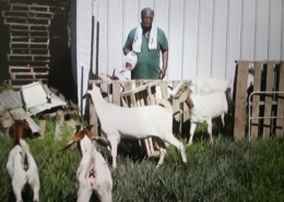 Photo of Mr. Brooks setting up a small paddock for the Safe to Fail Grazing Trial