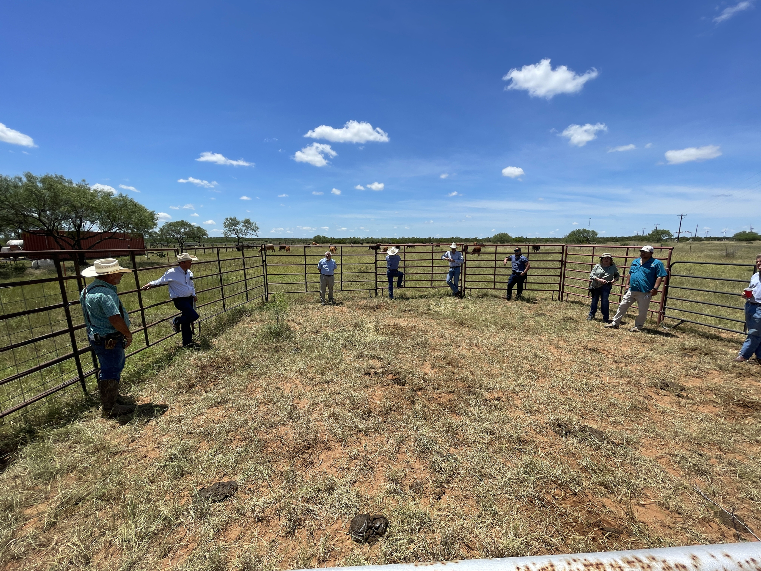 : Peer-to-peer learning at Servando Leal’s ranch near Bruni, Texas