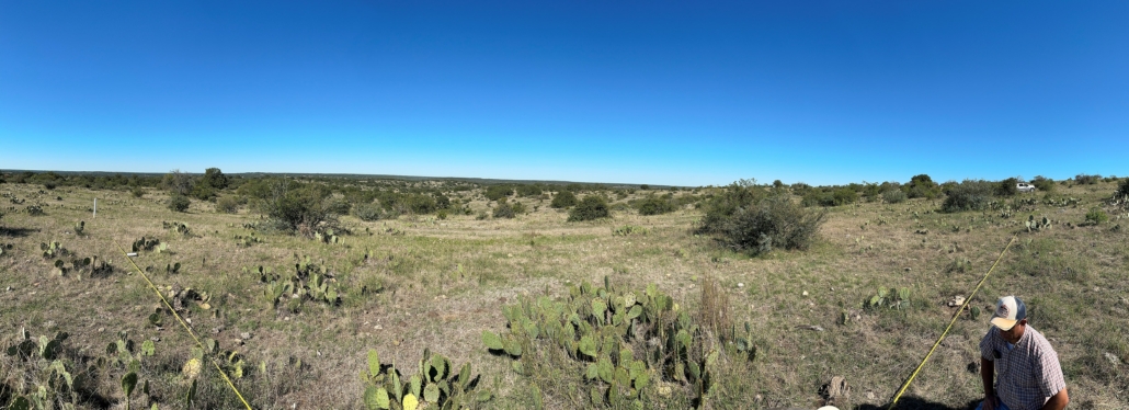 After years of drought, Stowers Ranch land is still biodiverse.