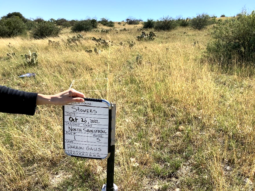 Stower’s Ranch observation