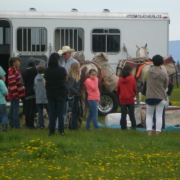 a group of children stand looking at saddled horses tied to a horsetrailer