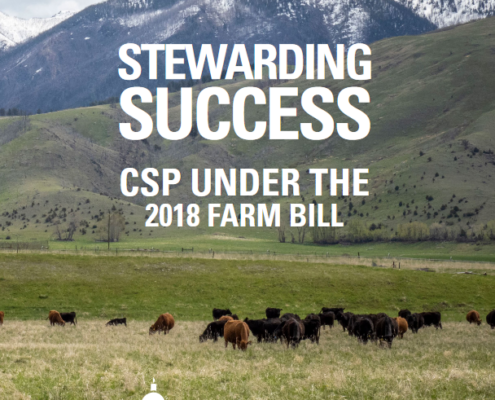 cover of report, with title "Stewarding Success: CSP Under the 2018 Farm Bill" superimposed on scene of cattle grazing with mountain in background