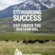 cover of report, with title "Stewarding Success: CSP Under the 2018 Farm Bill" superimposed on scene of cattle grazing with mountain in background