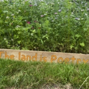 Photo of a sign stating "the land is poetry" next to tall wildflowers