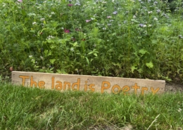 Photo of a sign stating "the land is poetry" next to tall wildflowers