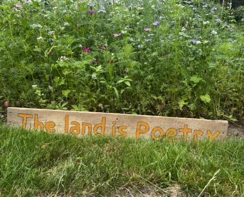 Photo of a sign stating "the land is poetry" next to tall wildflowers